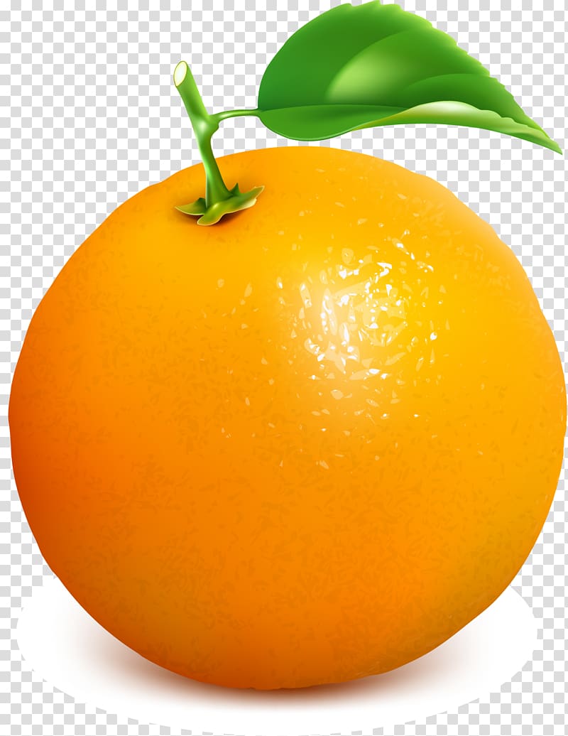Clementine Juice Mandarin orange Tangelo Grapefruit, Orange concise orange transparent background PNG clipart