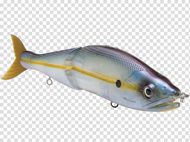 Sardine Marine biology Oily fish Milkfish Marine mammal, Striped Bass Fishing transparent background PNG clipart