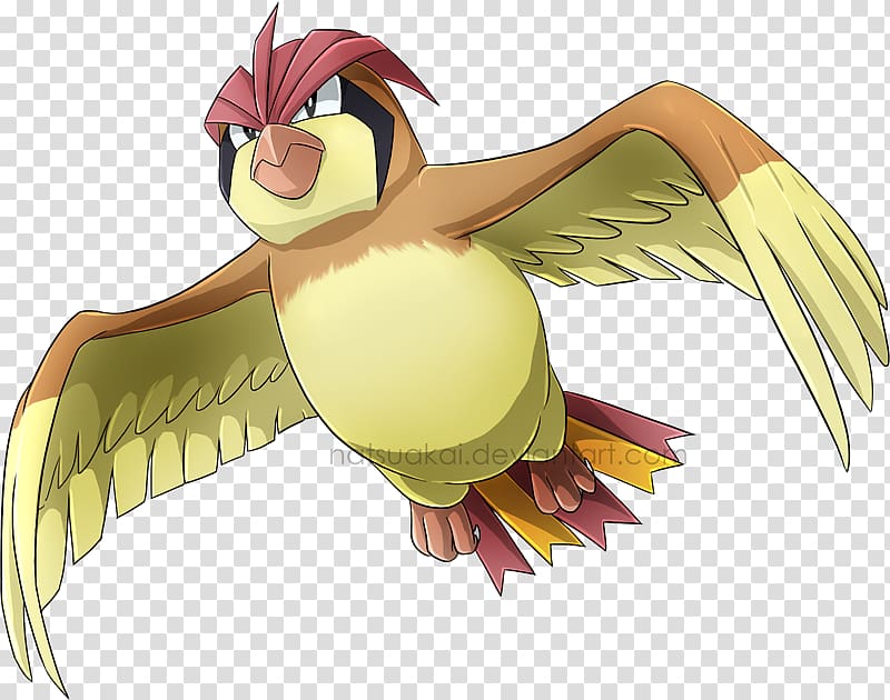 Pokémon Omega Ruby and Alpha Sapphire Pokémon X and Y Pidgeotto Pokémon FireRed and LeafGreen, pidgey transparent background PNG clipart