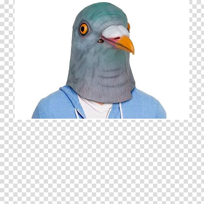Columbidae Amazon.com Domestic pigeon Horse head mask, Harem transparent background PNG clipart