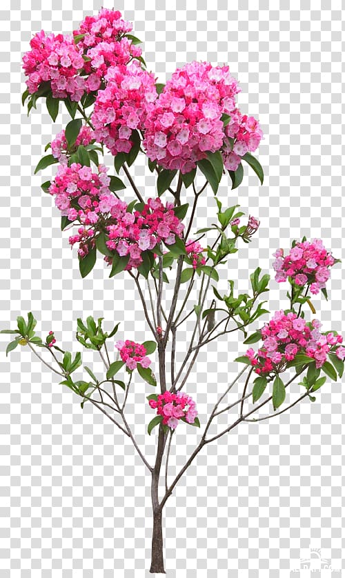 Flowerpot Tree, flower transparent background PNG clipart