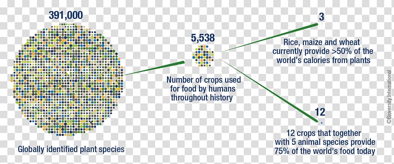 Production system Agricultural biodiversity Green Revolution, others transparent background PNG clipart