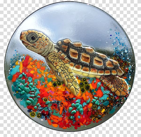 Box turtle Sea turtle Tortoise Hatchling, turtle transparent background PNG clipart