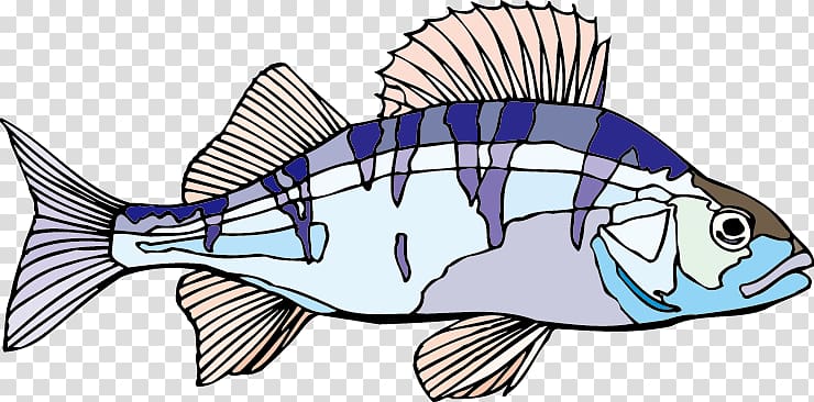 Cartoon , Living world,fish transparent background PNG clipart