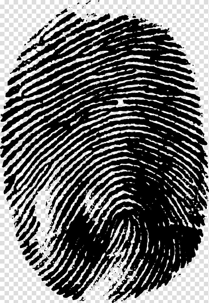Fingerprint , finger print transparent background PNG clipart