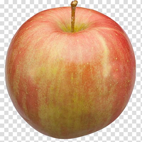 McIntosh red Fuji Michigan Apple Ralls Janet, apple transparent background PNG clipart