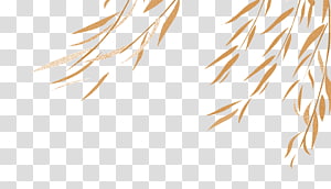 Willow Green Salix metaglauca, Autumn leaves color decorative material transparent background PNG clipart thumbnail