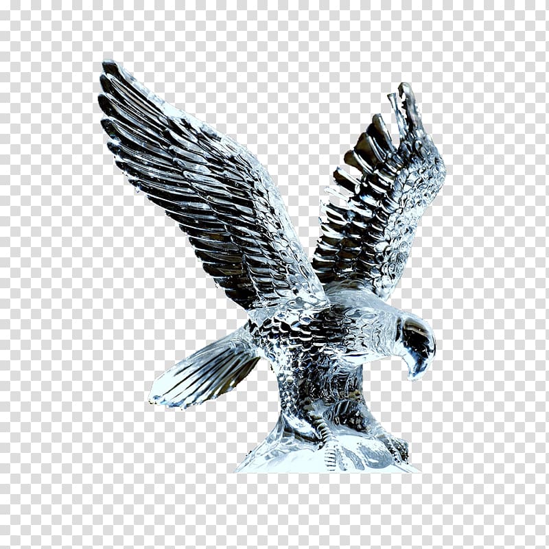 Eagle Bird Hawk, Flying up the eagle transparent background PNG clipart