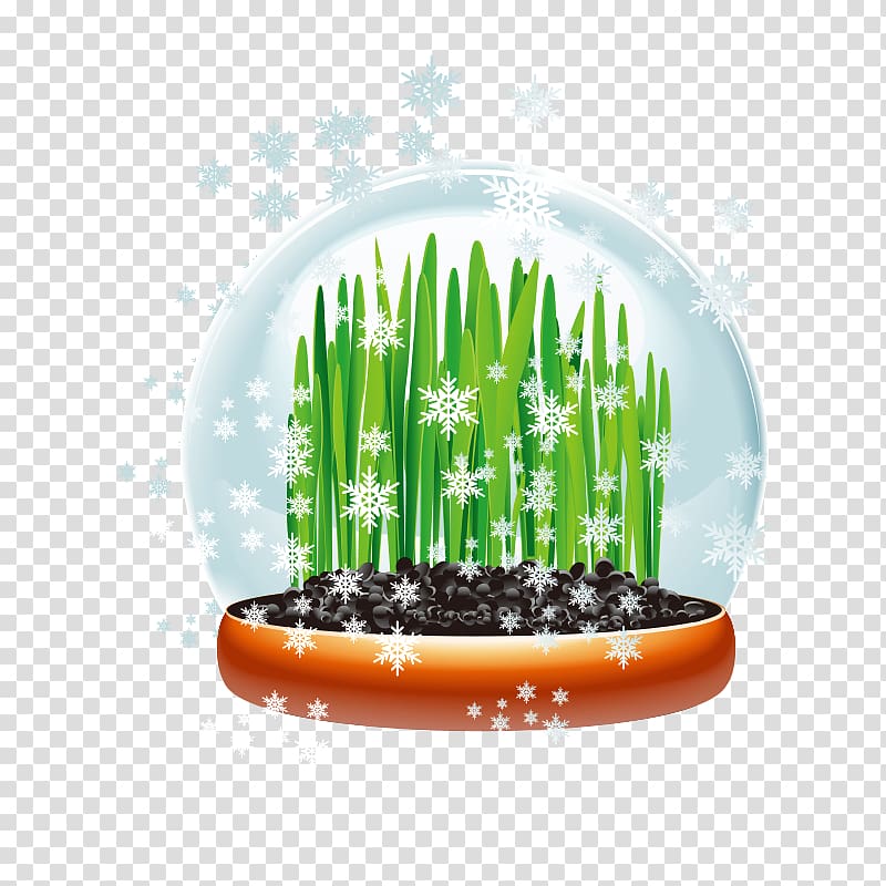 Horticulture Gardening Landscaping Landscape, Plant green snowflakes transparent background PNG clipart