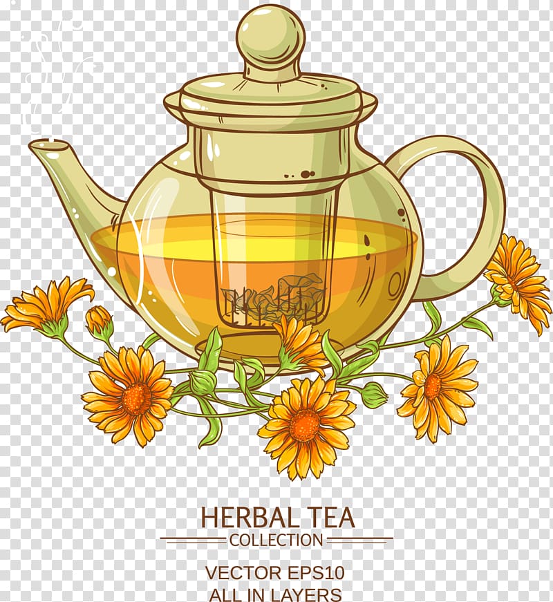 Chrysanthemum tea Flowering tea Calendula officinalis, Large chrysanthemum tea transparent background PNG clipart