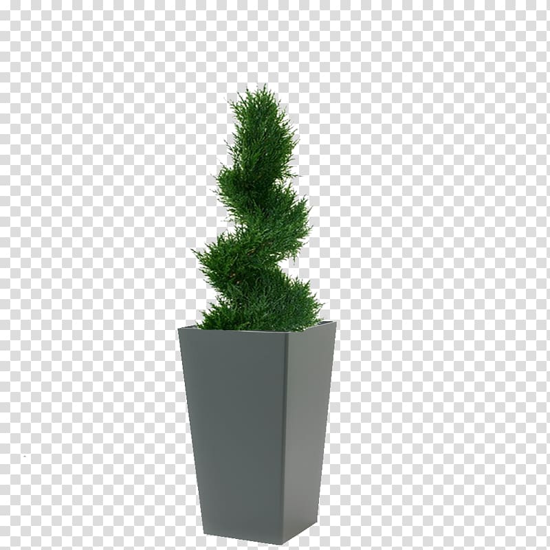 Spruce English Yew Conifeer Spiraal deluxe 100cm Fir Flowerpot, coupon design transparent background PNG clipart