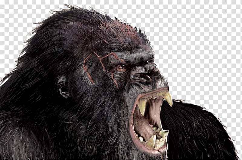 King Kong, Hollywood King Kong Godzilla Rodan Film, Gorilla transparent background PNG clipart