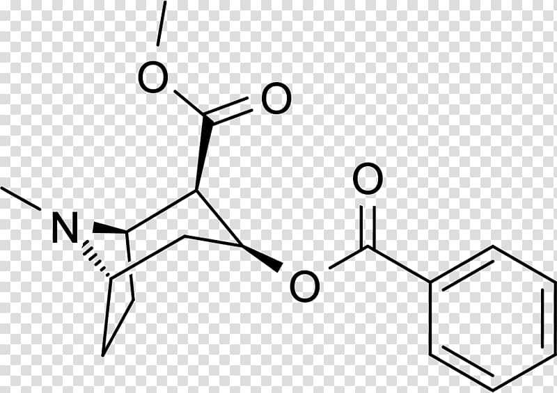 trans,cis-2,6-Nonadienal Valine Micropenis Amino acid Penis enlargement, cocaine transparent background PNG clipart