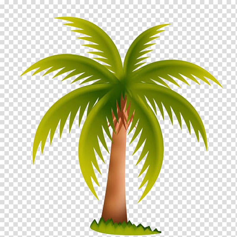 coconut tree illustration, Arecaceae Date palm Tree , Spread coconut leaves material transparent background PNG clipart
