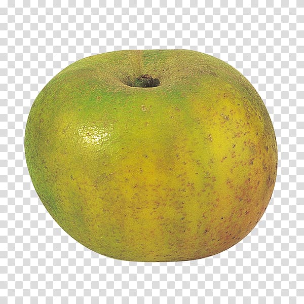 Apples Reinette Clochard Cripps Pink, apple transparent background PNG clipart