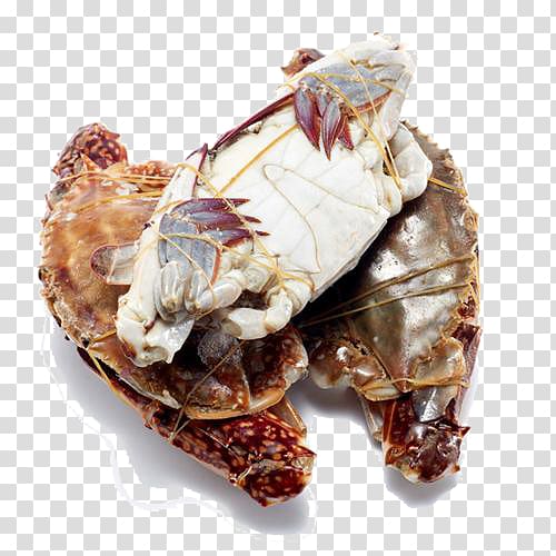 Dungeness crab Seafood King crab, Wild king crab Chile transparent background PNG clipart