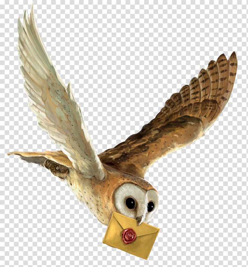 brown owl with brown envelope, Harry Potter and the Philosopher\'s Stone Owl Hedwig Hogwarts, Harry Potter transparent background PNG clipart