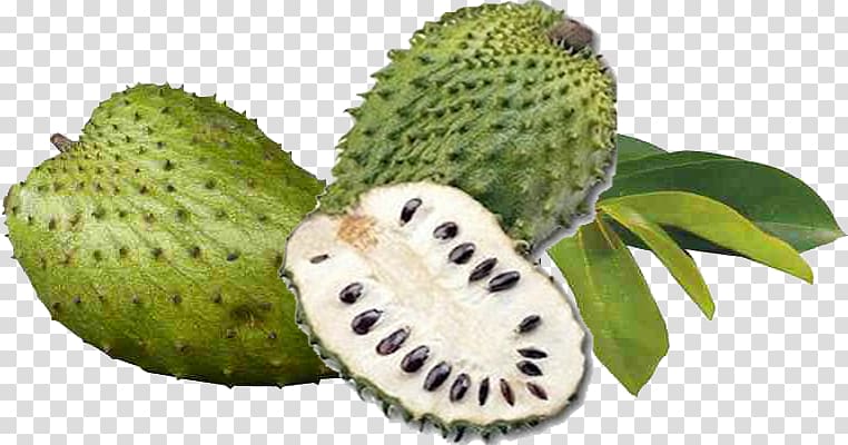 Juice Soursop Fruit Jamaican cuisine Colombian cuisine, juice transparent background PNG clipart