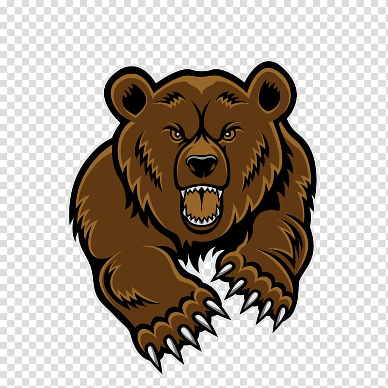 Baby Grizzly Grizzly bear , bear transparent background PNG clipart