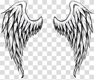Drawing Line art , drawing t-shirt transparent background PNG clipart thumbnail