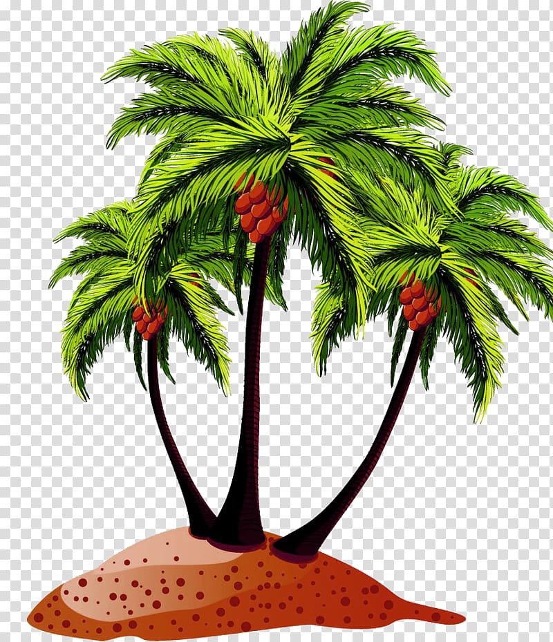 Coconut Arecaceae Drawing, Lush coconut leaves material transparent background PNG clipart