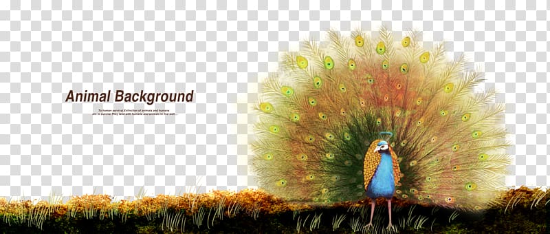 Advertising Graphic design Painting, Peacock Painting Creative transparent background PNG clipart