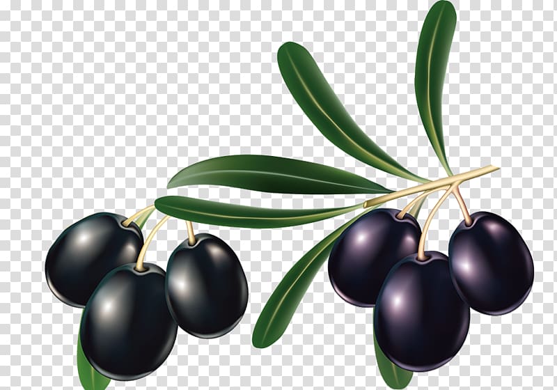 Mediterranean cuisine Olive oil Olive leaf, Creative black olive transparent background PNG clipart
