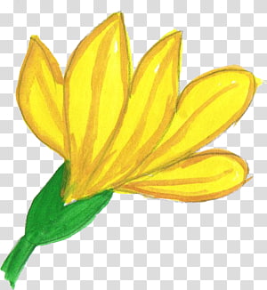 Watercolor painting Flower, watercolor flower transparent background PNG clipart thumbnail