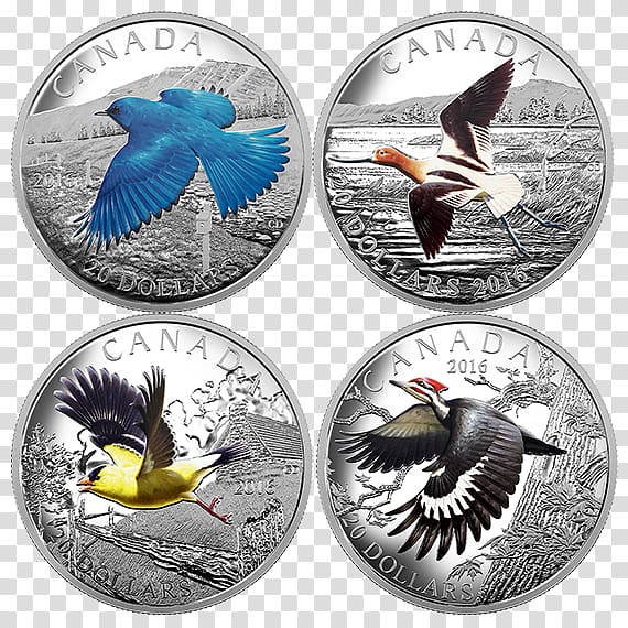 Coin Bird migration Canada Silver, United States Ten-dollar Bill transparent background PNG clipart
