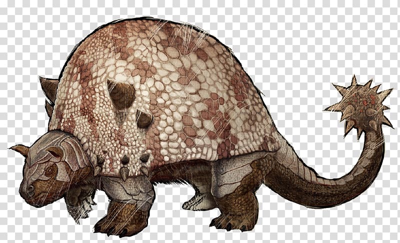 ARK: Survival Evolved Doedicurus clavicaudatus Ankylosaurus Liopleurodon Glyptodont, creatures transparent background PNG clipart