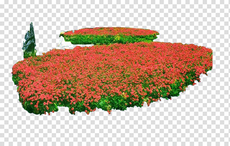 Flower Plant Computer file, Flowers flower beds transparent background PNG clipart