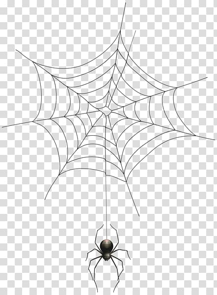 black spider and spider web , Spider web Halloween , Spider web spider transparent background PNG clipart