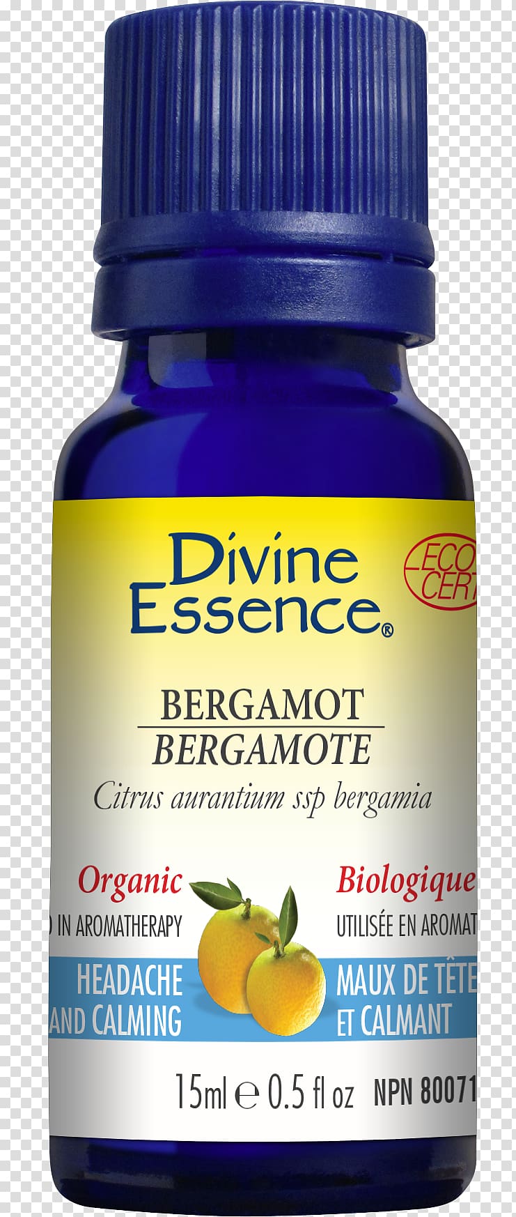 Tea tree oil Essential oil English lavender Essence of Life Organics, oil transparent background PNG clipart