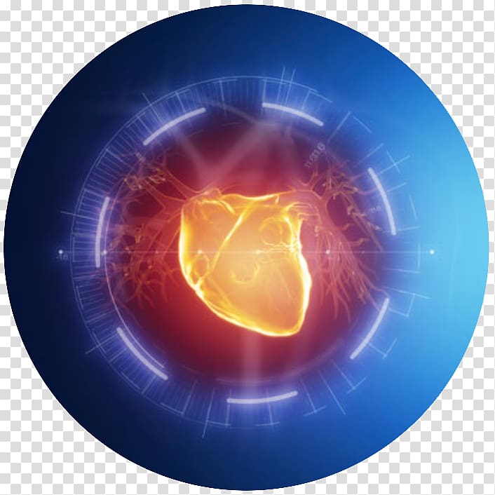 Cardiovascular disease Heart Circulatory system Coronary artery disease Cardiology, Science Seminar Poster Design transparent background PNG clipart