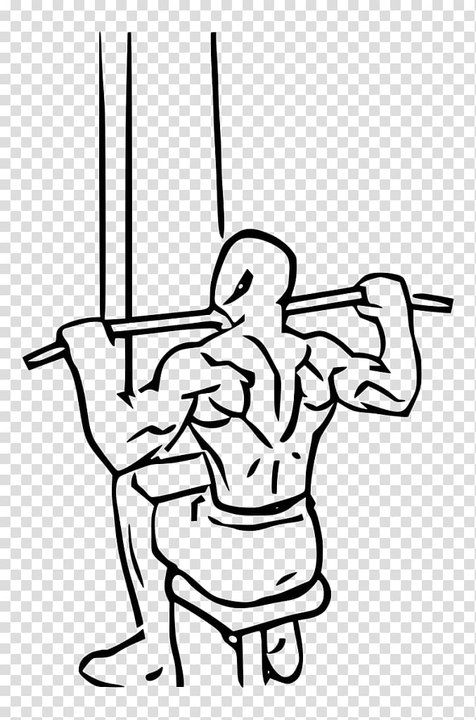 Pulldown exercise Latissimus dorsi muscle Row Biceps, dumbbell transparent background PNG clipart