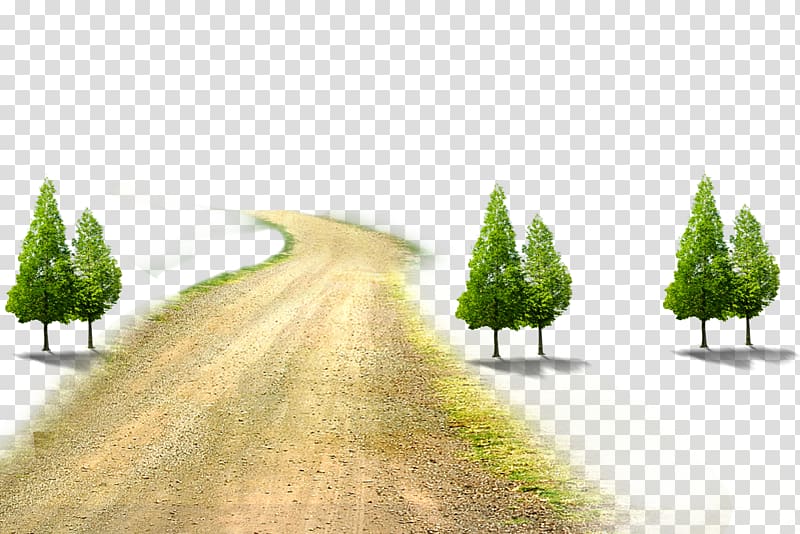 trees path transparent background PNG clipart