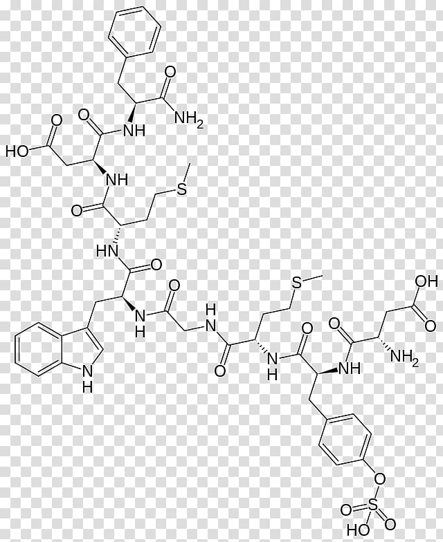 Sincalide Kinevac Drugs.com Wikipedia, Peptide transparent background PNG clipart
