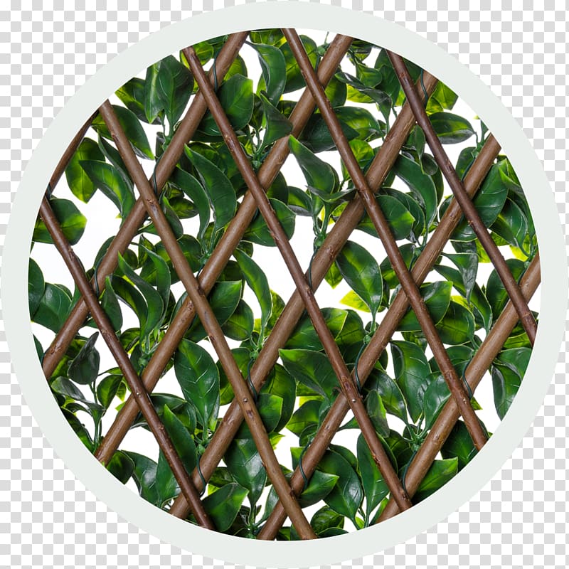 Trellis Latticework Hedge Ivy Tree, lattice transparent background PNG clipart