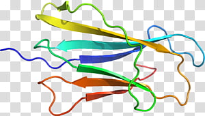 Line Point , line transparent background PNG clipart thumbnail