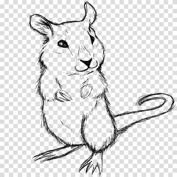 Rat Whiskers Gerbil Hamster Sketch, rat transparent background PNG clipart