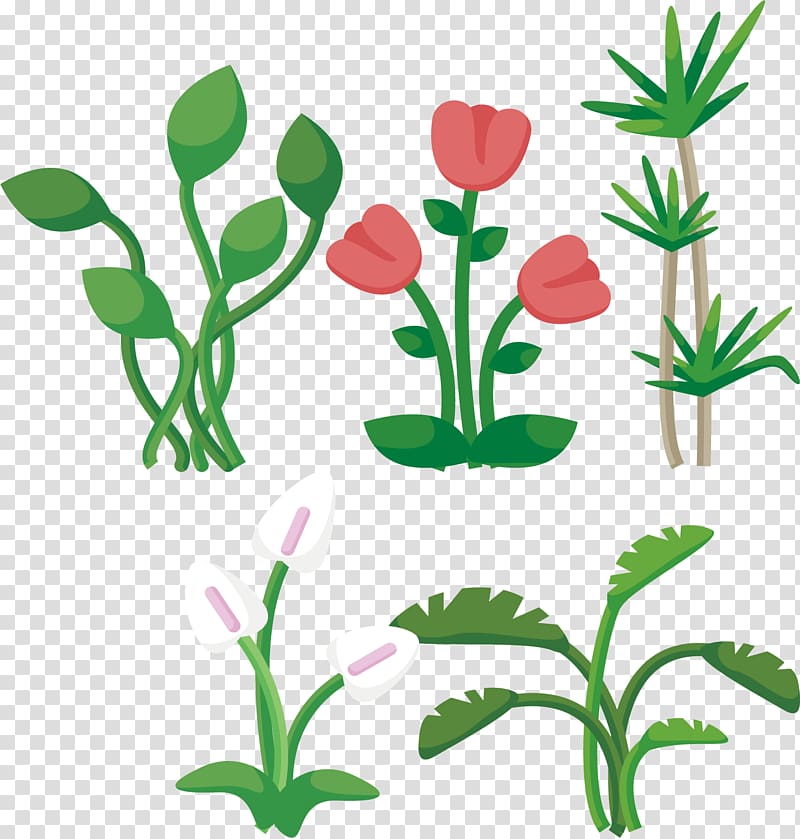 Leaf Plant Euclidean Tree, Red tulips transparent background PNG clipart