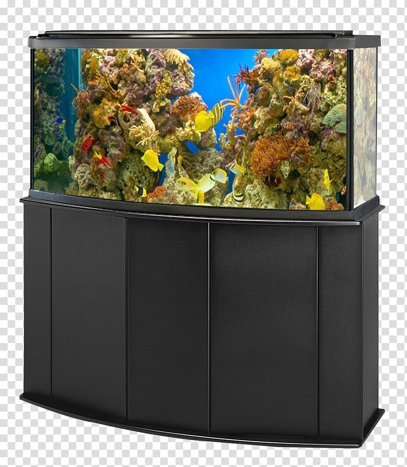 black framed fish tank, Aquarium Goldfish Ornamental fish, Aquarium Fish Tank transparent background PNG clipart