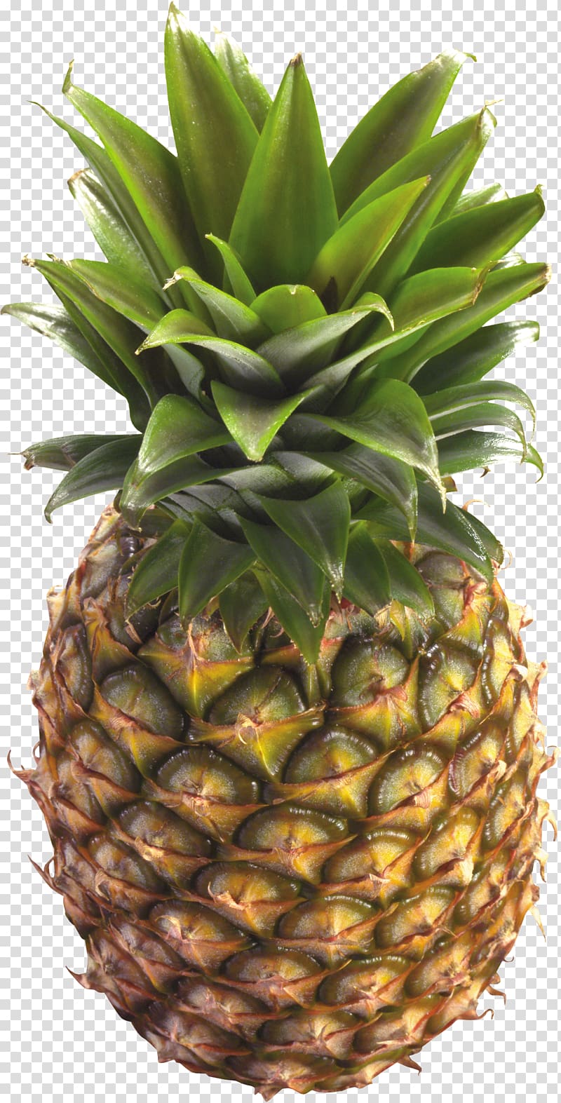 Pineapple transparent background PNG clipart