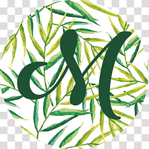 Watercolor painting Leaf, Leaf transparent background PNG clipart thumbnail