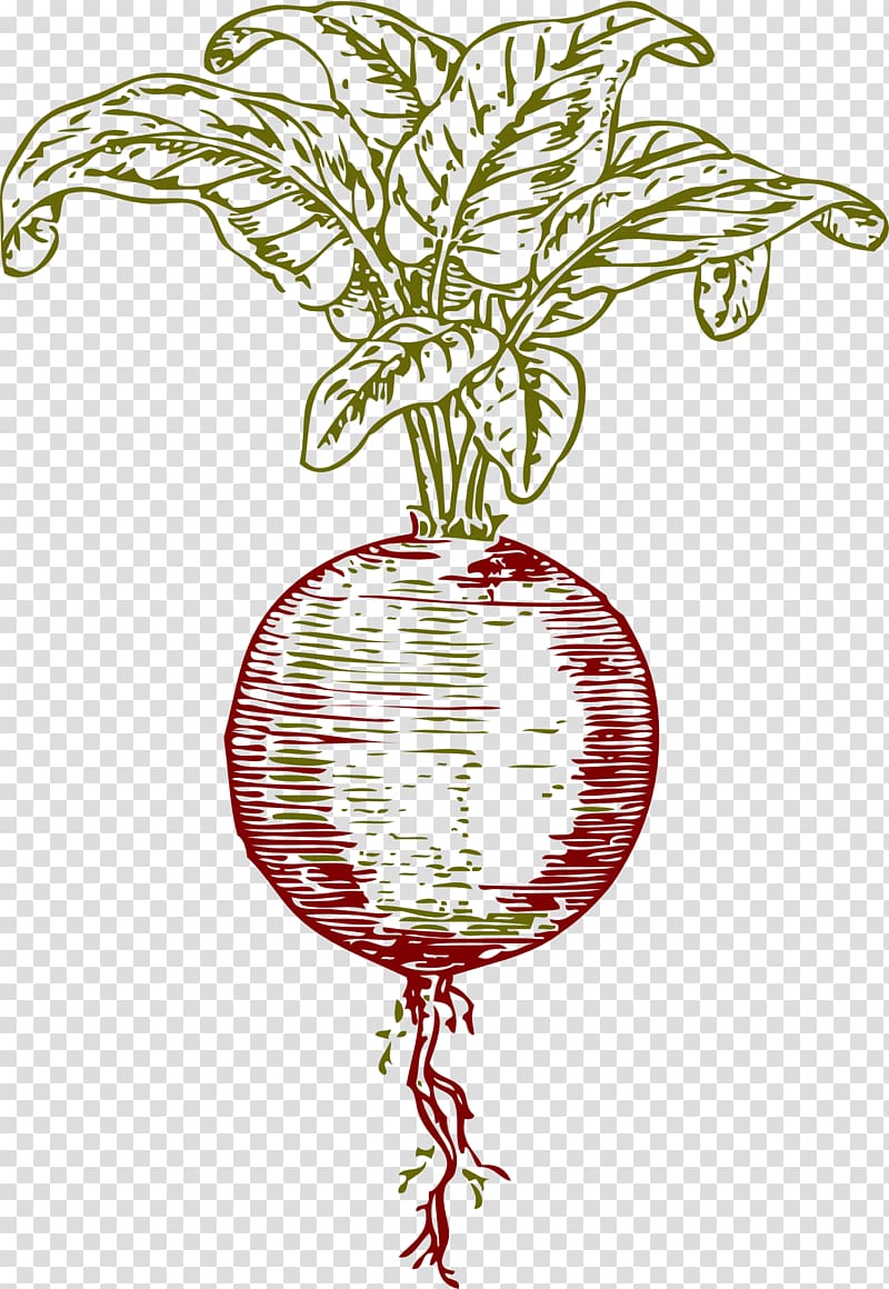 Pomegranate juice Beetroot Sugar beet Vegetable, juice transparent background PNG clipart