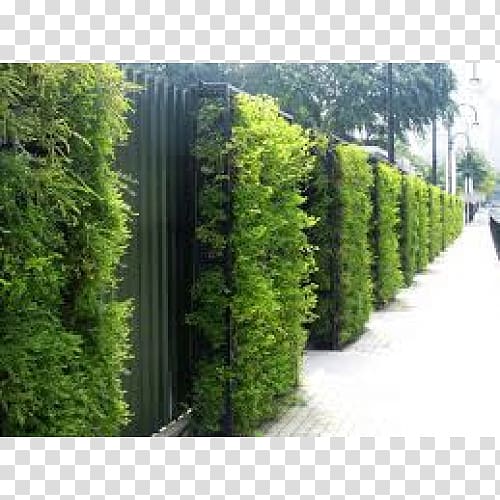 Green wall Roof garden Green roof, design transparent background PNG clipart