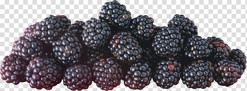 Mulberry Boysenberry Mûre Auglis, others transparent background PNG clipart