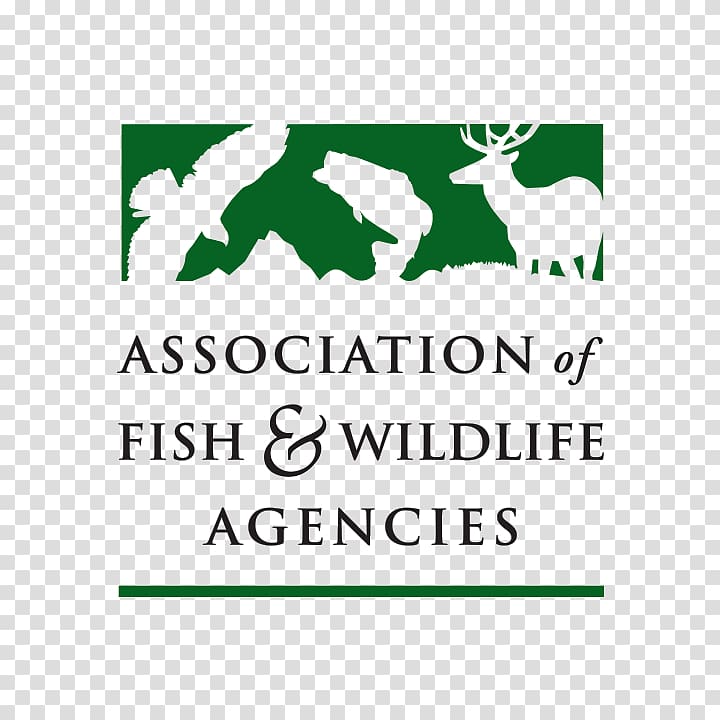 Association of Fish & Wildlife Agencies United States Fish and Wildlife Service The Wildlife Society Fishing, Fishing transparent background PNG clipart