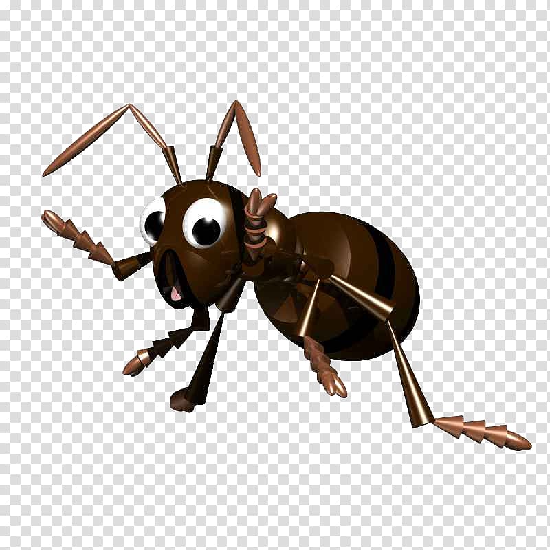 Black garden ant Insect Leafcutter ant, Surprised ants transparent background PNG clipart