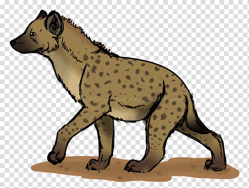 Cheetah Viverridae Cat Animal Mammal, hyena transparent background PNG clipart